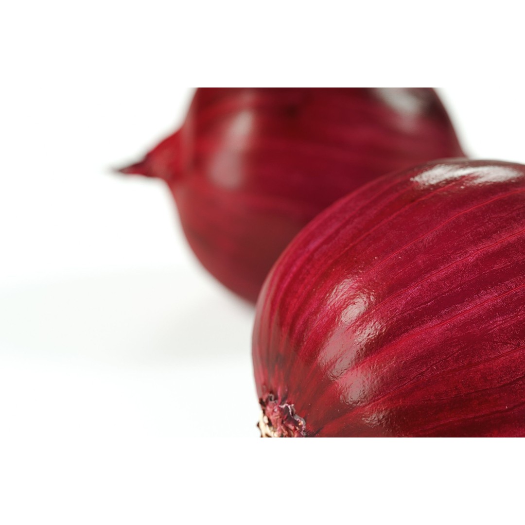 Red Onion 3D Model – Peeled Vegetable Asset, PBR, FBX, OBJ - View 3