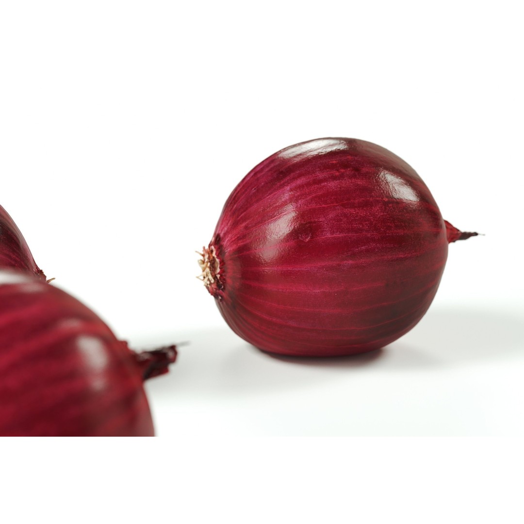 Red Onion 3D Model – Peeled Vegetable Asset, PBR, FBX, OBJ - View 4