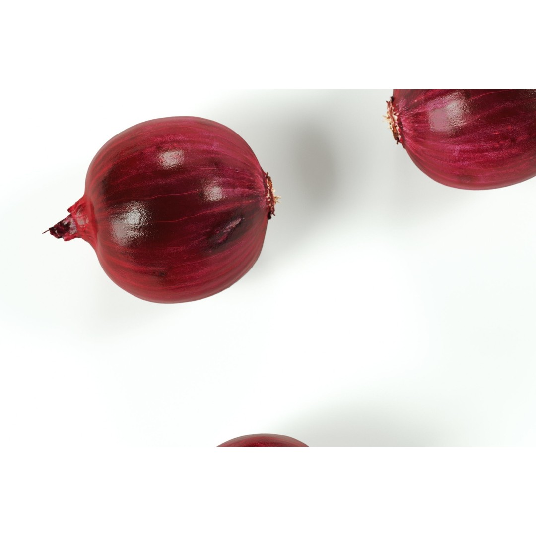 Red Onion 3D Model – Peeled Vegetable Asset, PBR, FBX, OBJ - View 5