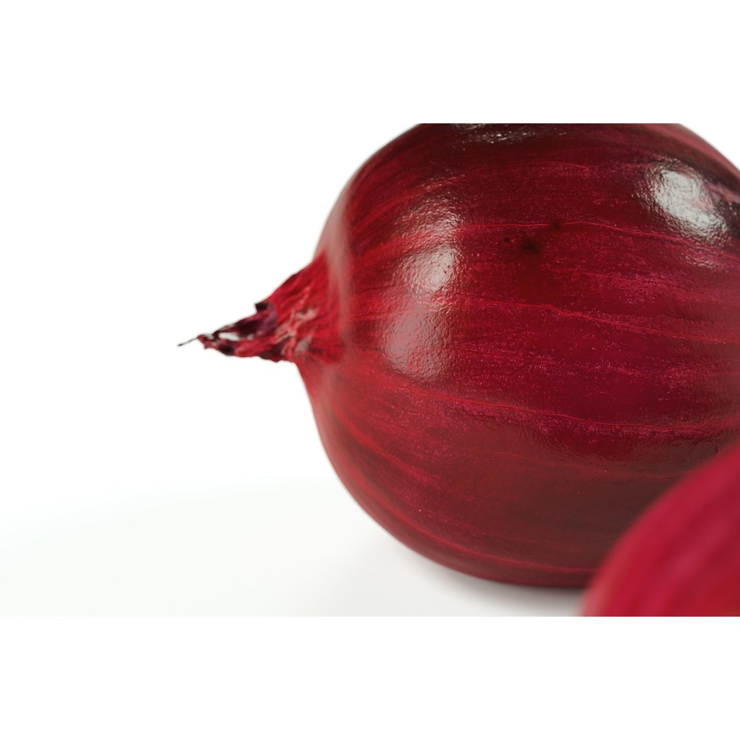 Red Onion 3D Model – Peeled Vegetable Asset, PBR, FBX, OBJ - View 6