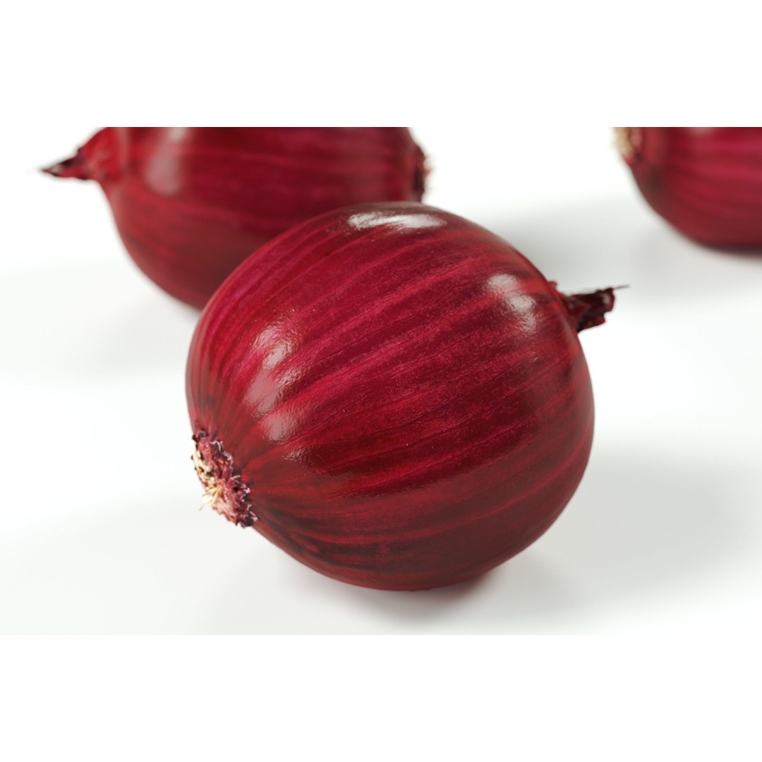 Red Onion 3D Model – Peeled Vegetable Asset, PBR, FBX, OBJ - View 7