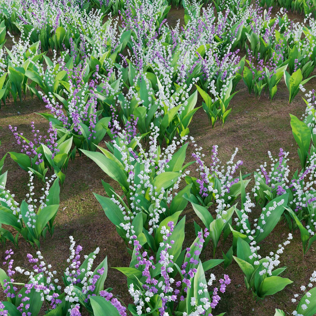 Convallaria majalis 3D Model – Low Poly Flower Asset, FBX - View 4