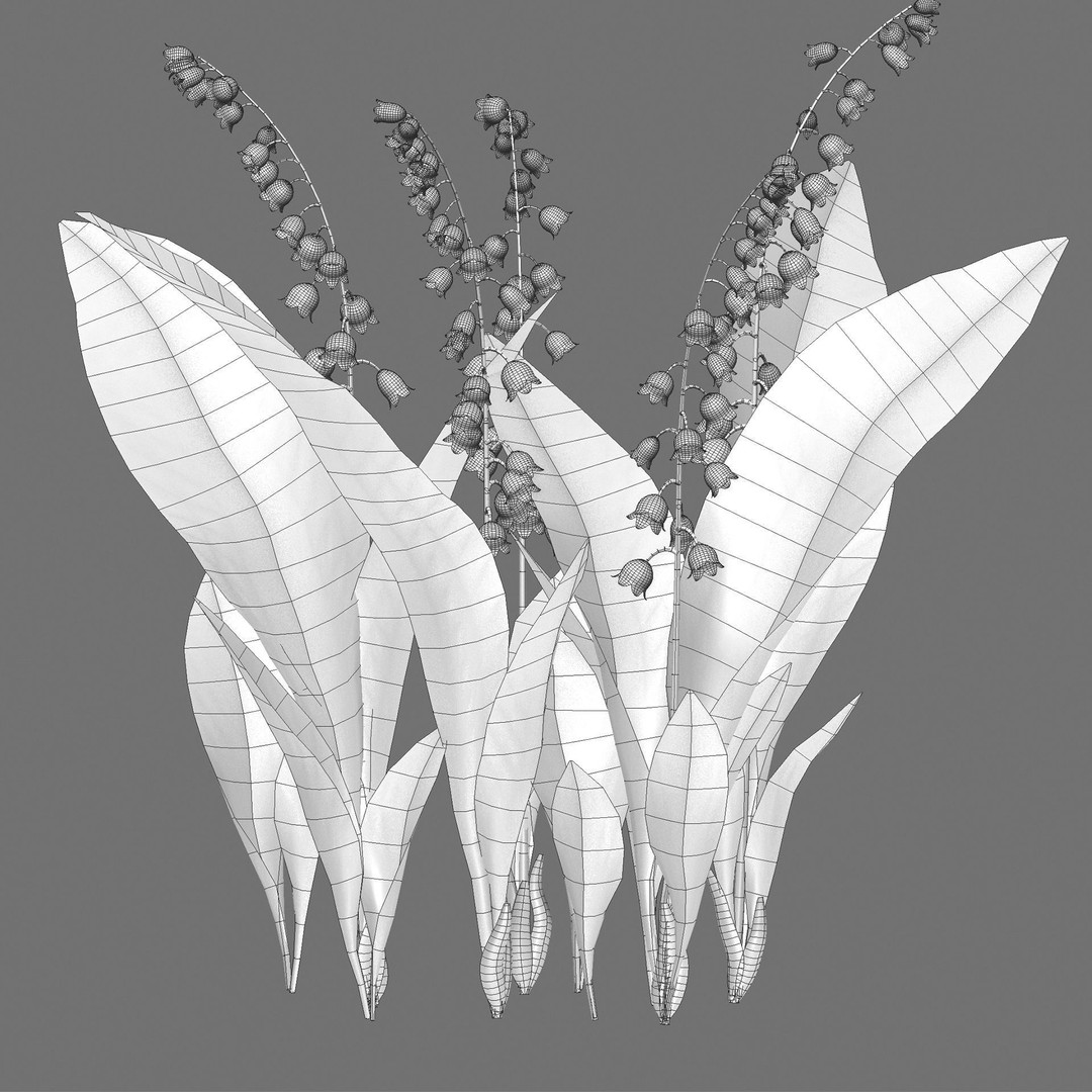 Convallaria majalis 3D Model – Low Poly Flower Asset, FBX - View 6