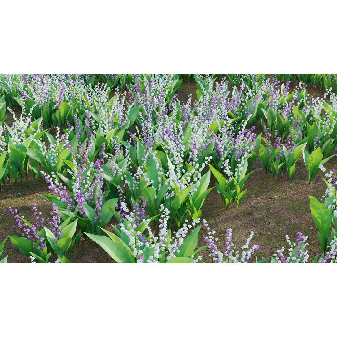 Convallaria majalis 3D Model – Low Poly Flower Asset, FBX - View 9