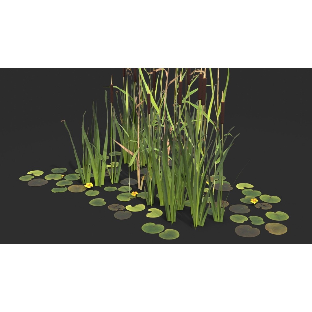 Modular Wetland Plants 3D Model – Low Poly Game Asset, FBX & OBJ - View 10