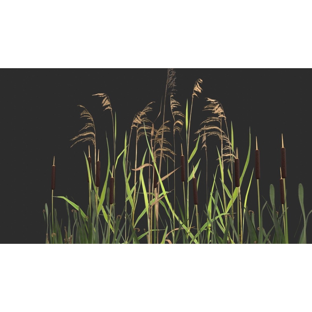 Modular Wetland Plants 3D Model – Low Poly Game Asset, FBX & OBJ - View 11