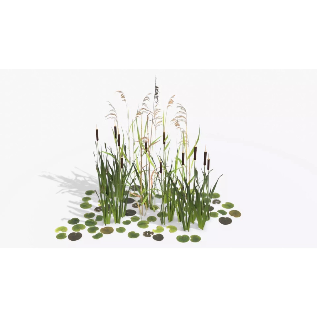 Modular Wetland Plants 3D Model – Low Poly Game Asset, FBX & OBJ - View 2