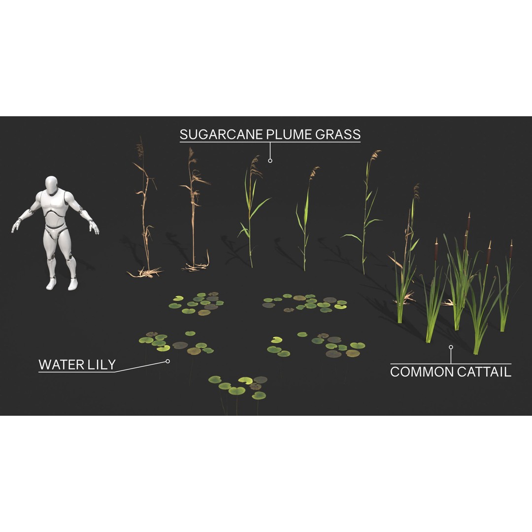 Modular Wetland Plants 3D Model – Low Poly Game Asset, FBX & OBJ - View 3