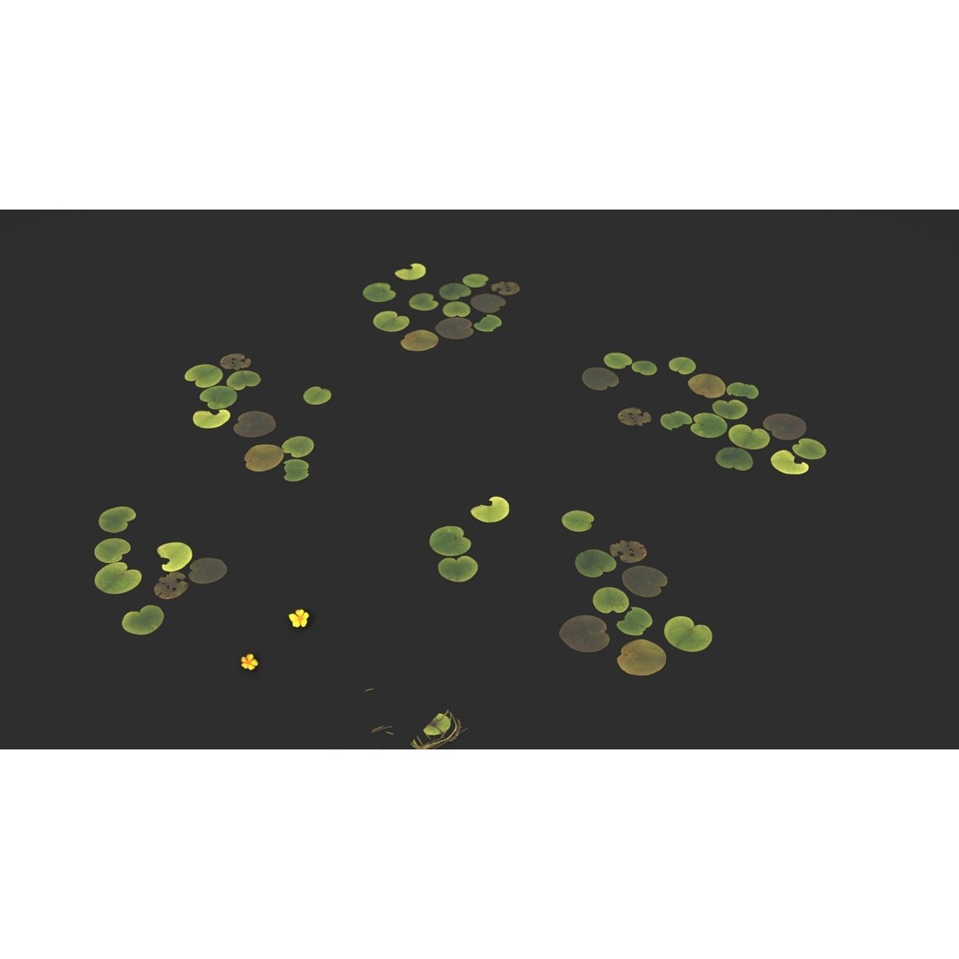 Modular Wetland Plants 3D Model – Low Poly Game Asset, FBX & OBJ - View 5