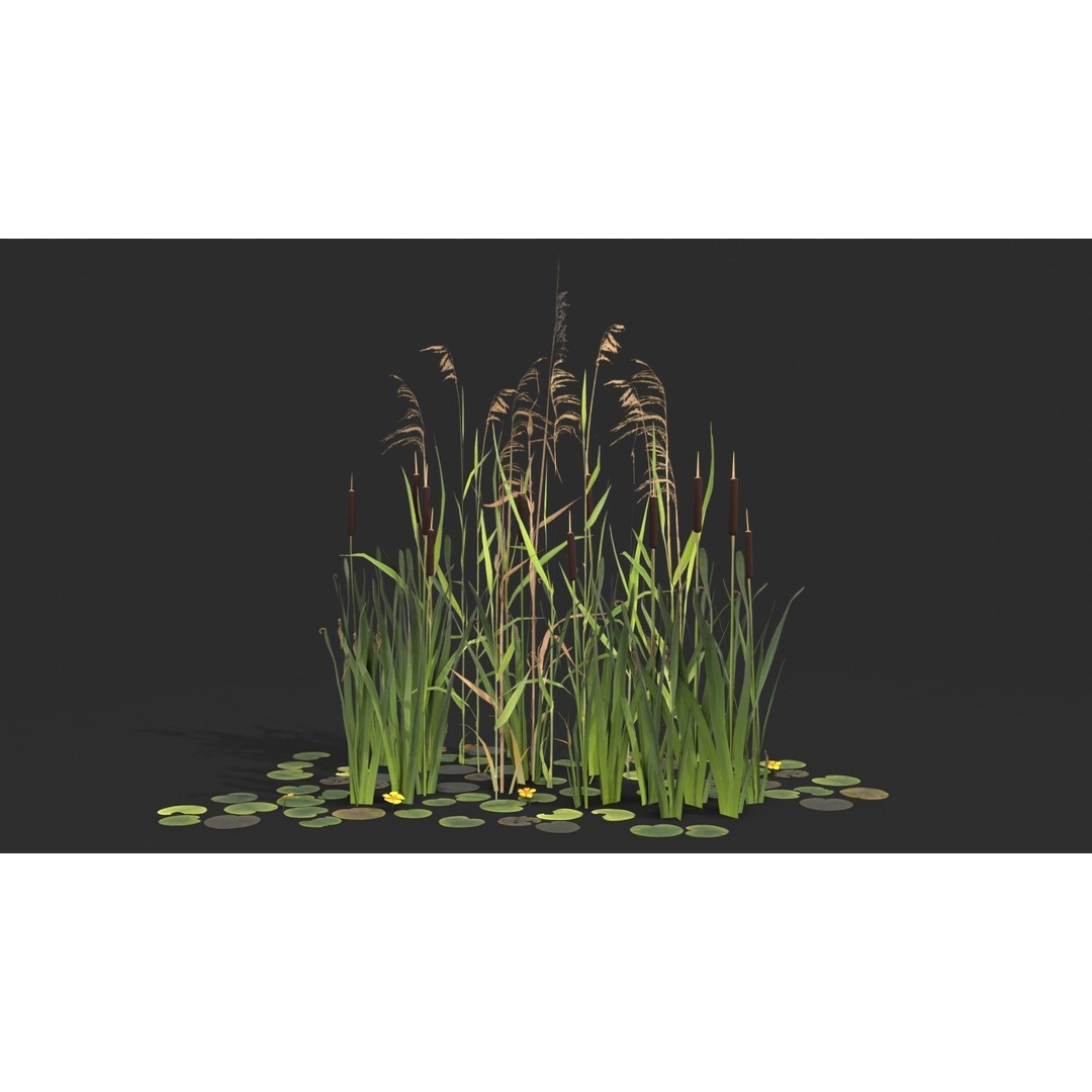Modular Wetland Plants 3D Model – Low Poly Game Asset, FBX & OBJ - View 7