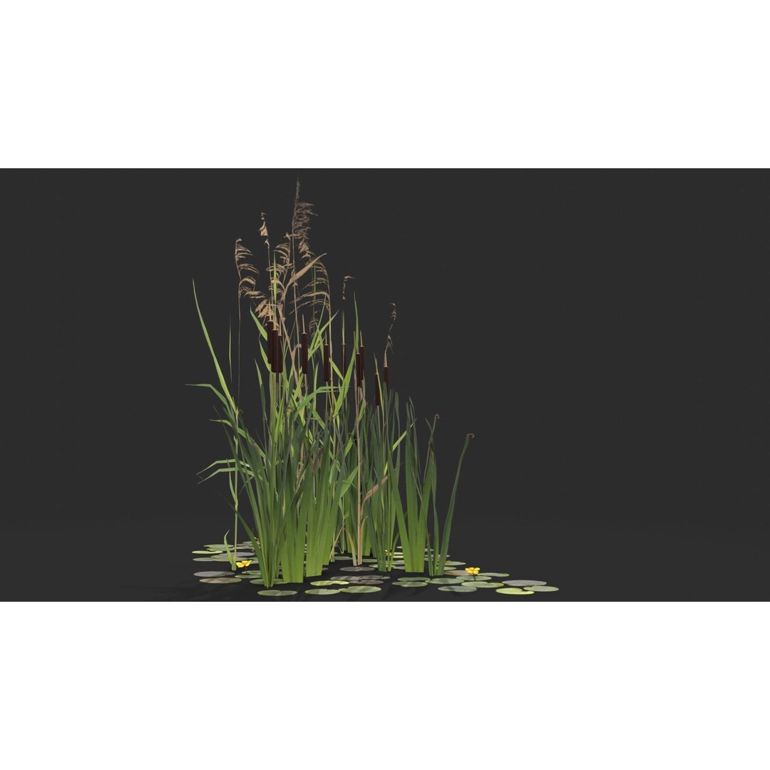 Modular Wetland Plants 3D Model – Low Poly Game Asset, FBX & OBJ - View 8