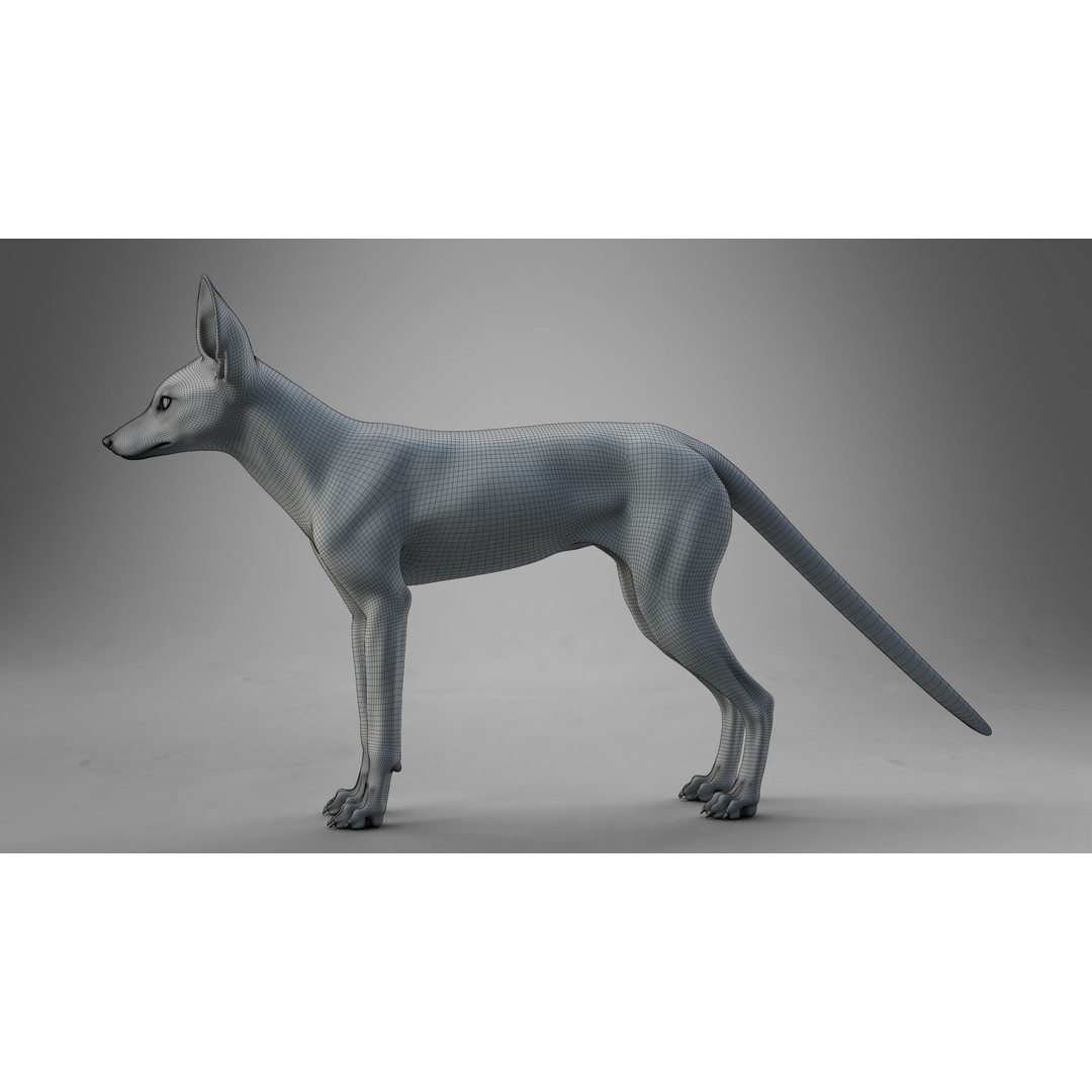 Arabian Red Fox 3D Model – Rigged Animation with PBR Textures
