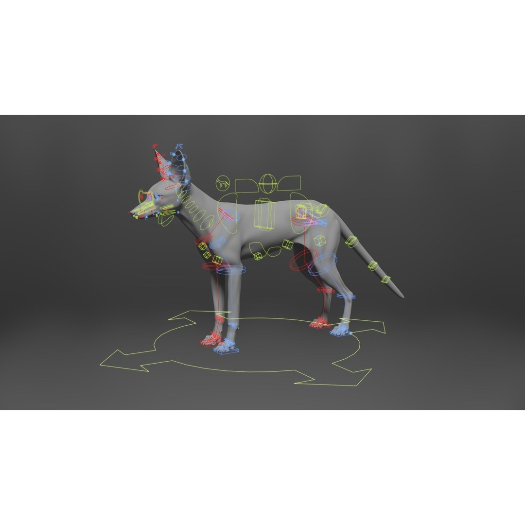 Arabian Red Fox 3D Model – Rigged Animation with PBR Textures - View 16