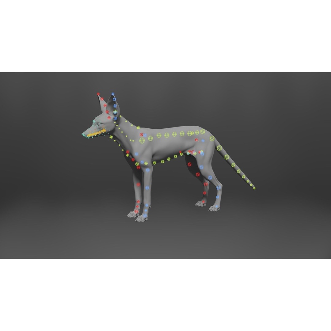 Arabian Red Fox 3D Model – Rigged Animation with PBR Textures - View 17