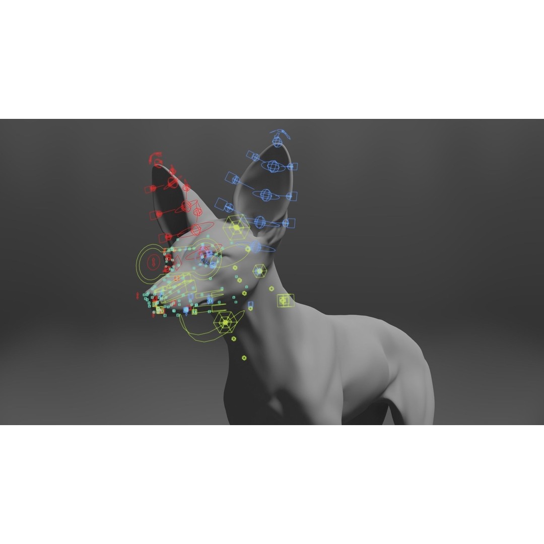 Arabian Red Fox 3D Model – Rigged Animation with PBR Textures - View 18