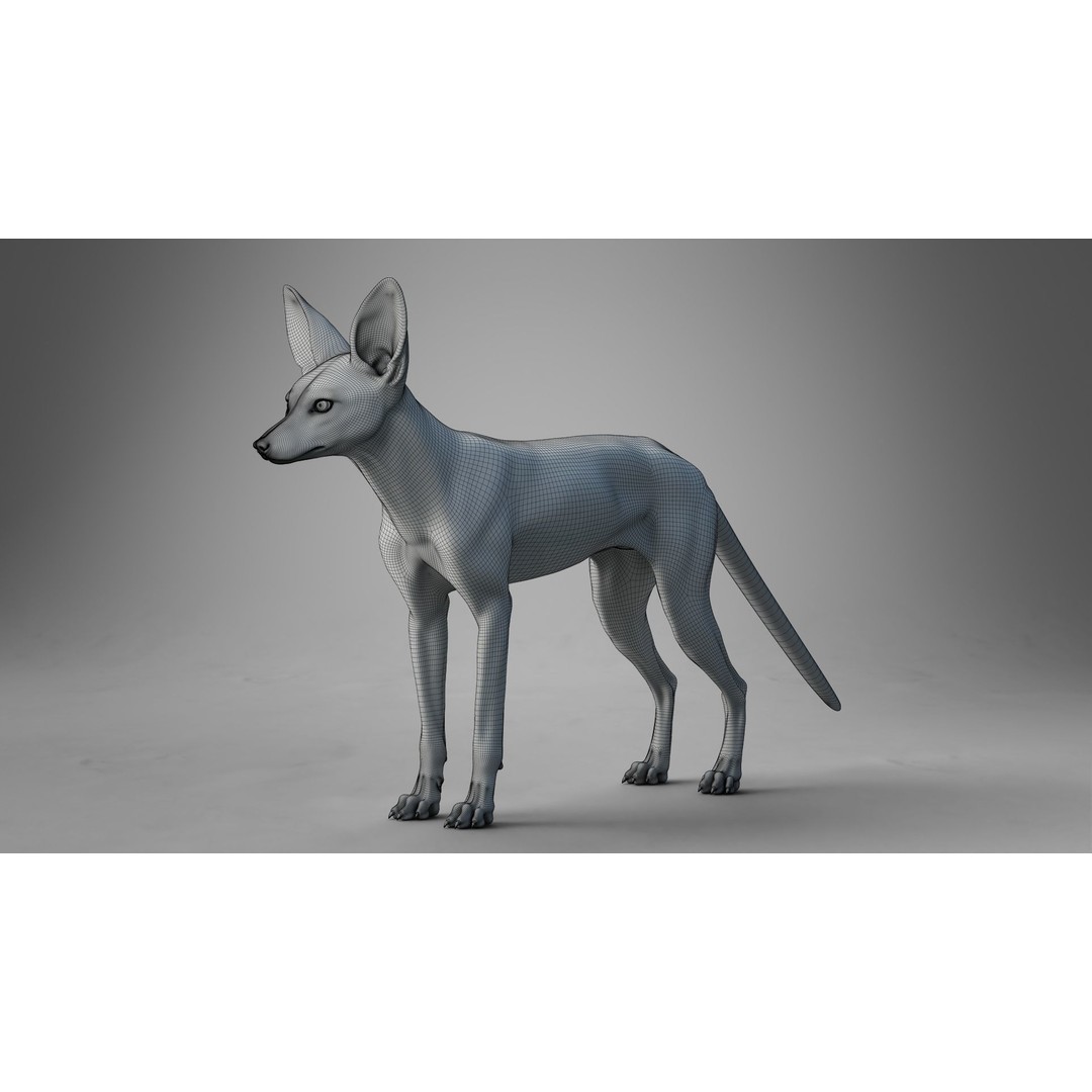 Arabian Red Fox 3D Model – Rigged Animation with PBR Textures - View 23