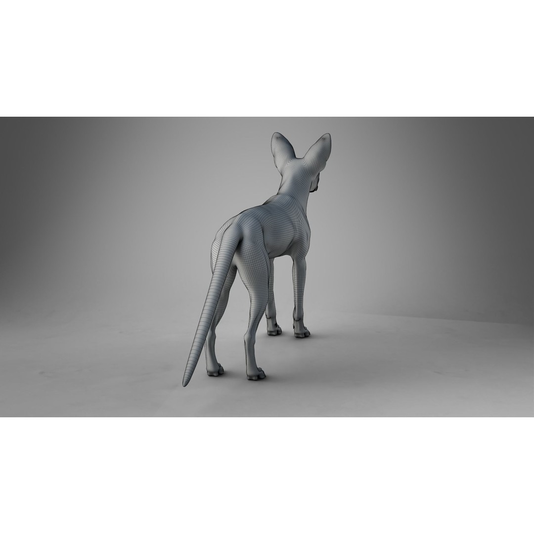 Arabian Red Fox 3D Model – Rigged Animation with PBR Textures - View 24