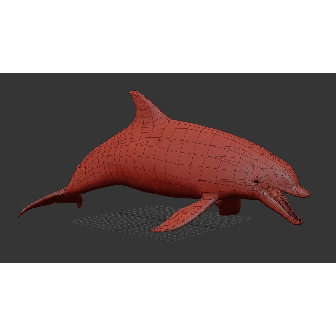 Realistic Dolphin 3D Model – Animated Game Asset, FBX, OBJ - View 14