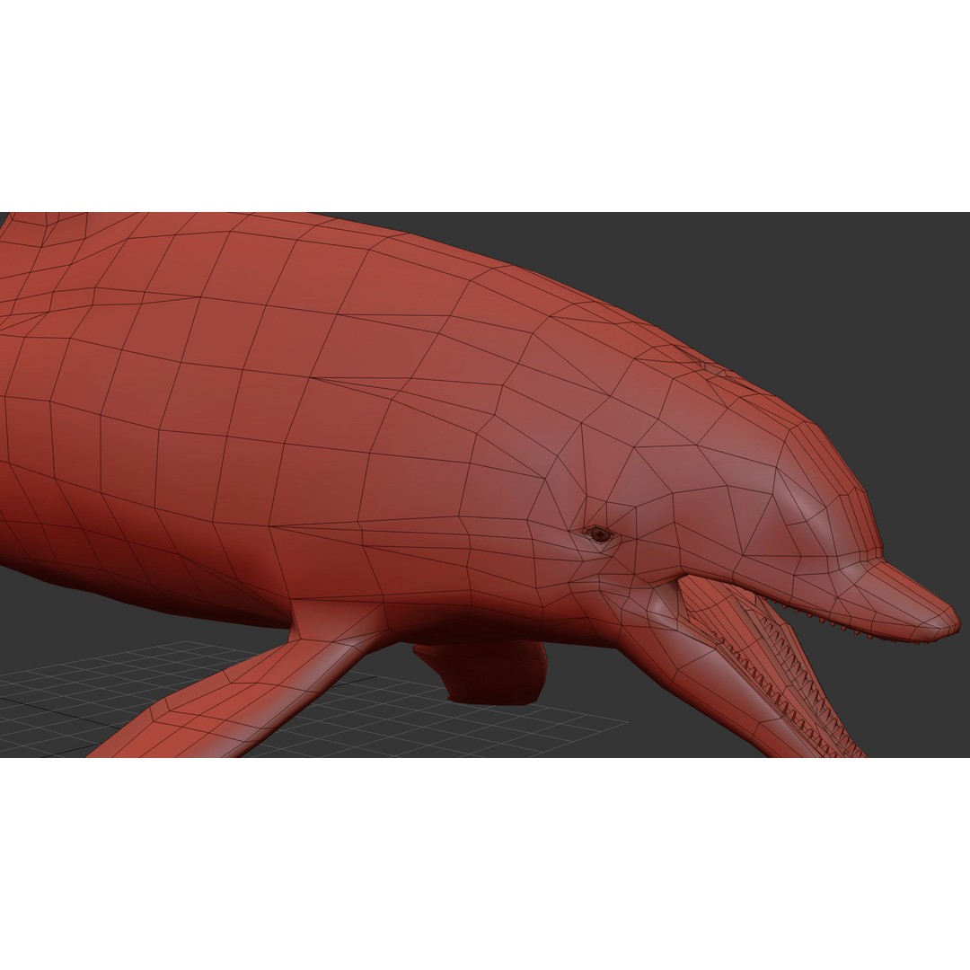 Realistic Dolphin 3D Model – Animated Game Asset, FBX, OBJ - View 15
