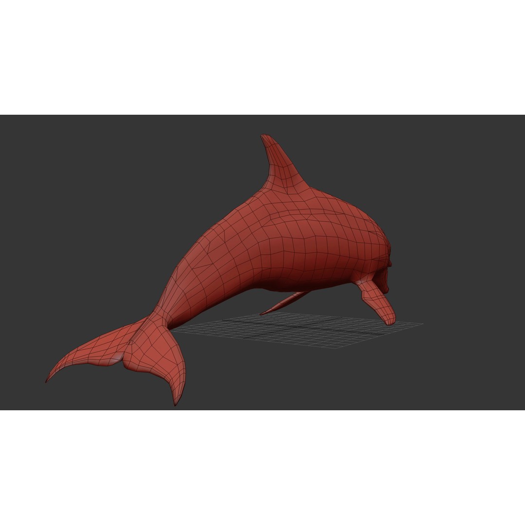 Realistic Dolphin 3D Model – Animated Game Asset, FBX, OBJ - View 17