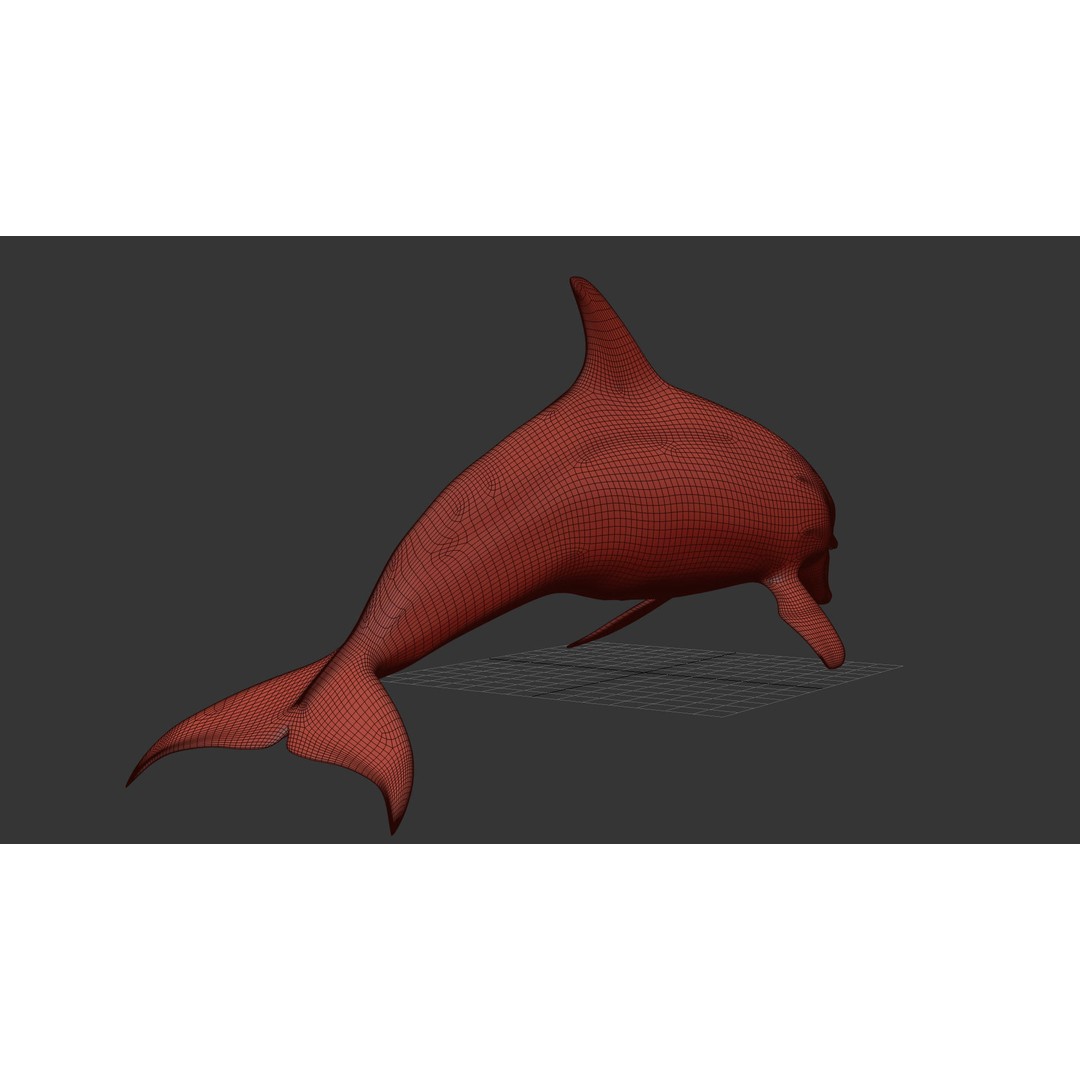 Realistic Dolphin 3D Model – Animated Game Asset, FBX, OBJ - View 18