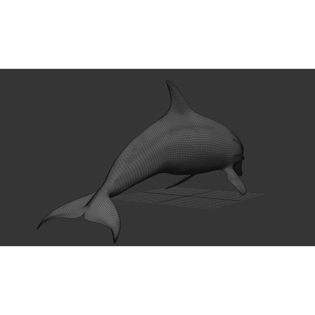 Realistic Dolphin 3D Model – Animated Game Asset, FBX, OBJ - View 19