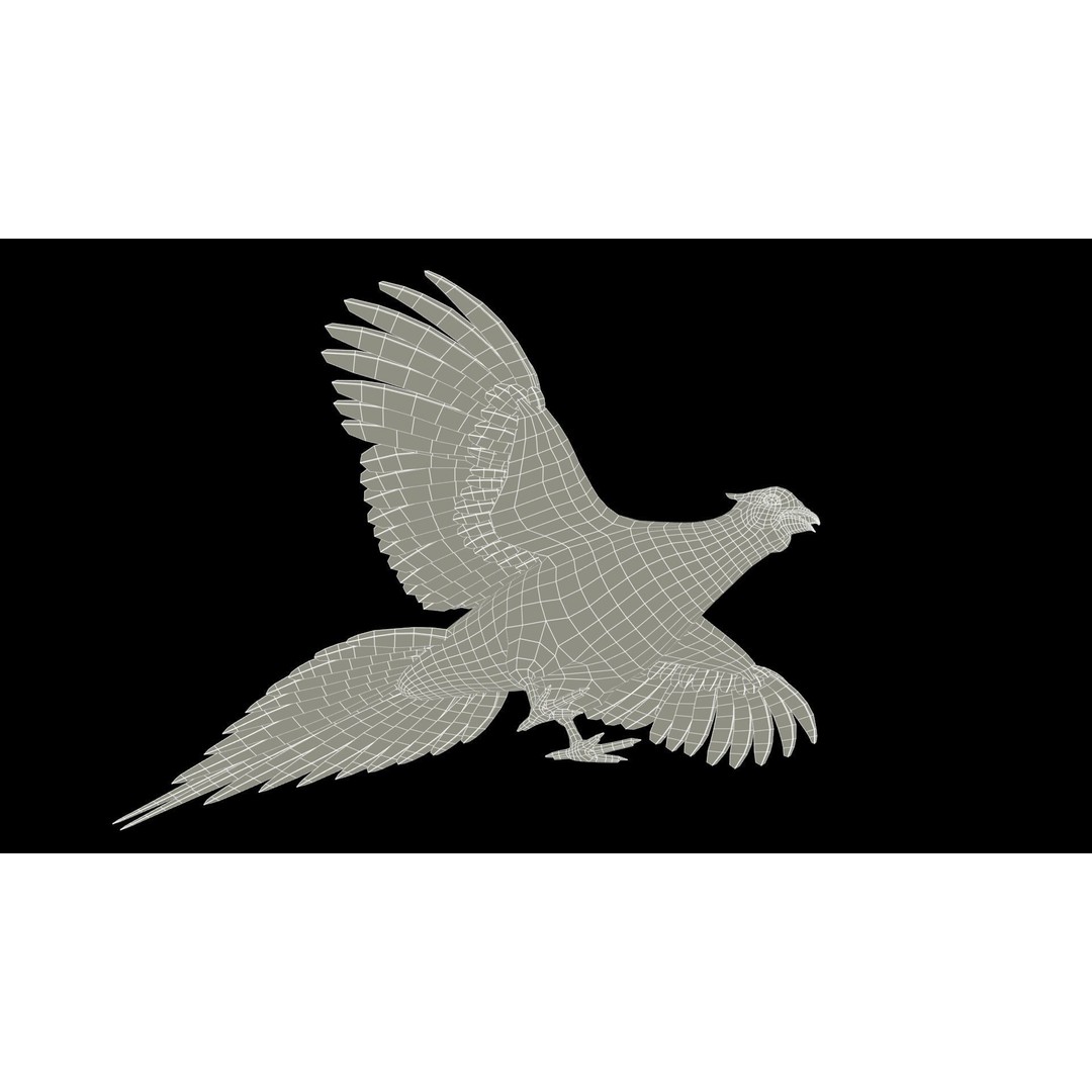 Pheasant 3D Model – Low Poly Animated Game Asset, FBX