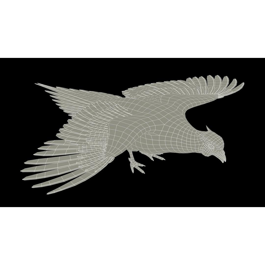 Pheasant 3D Model – Low Poly Animated Game Asset, FBX - View 16
