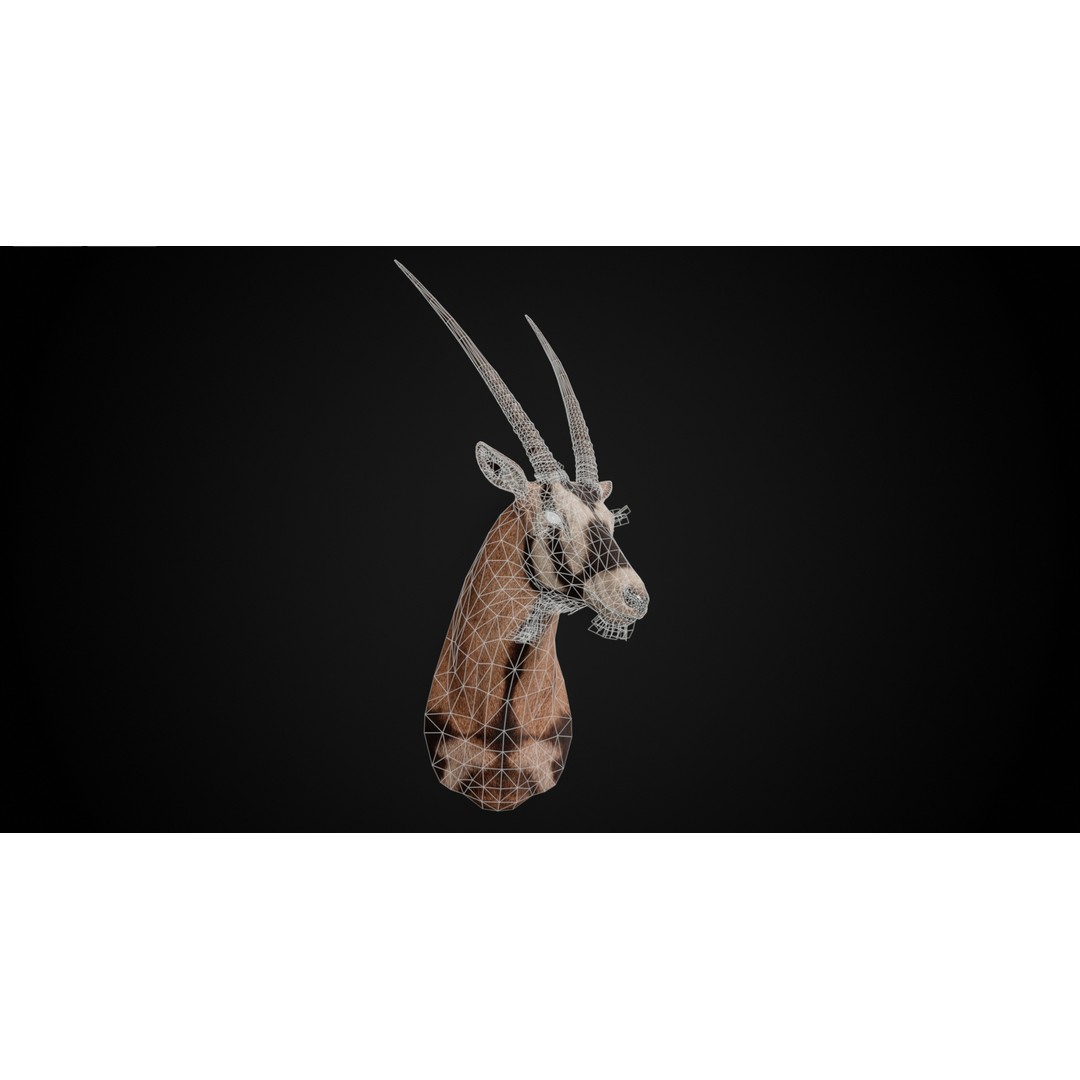Oryx Gazella Trophy Head 3D Model – Photorealistic Low Poly Game Asset, FBX