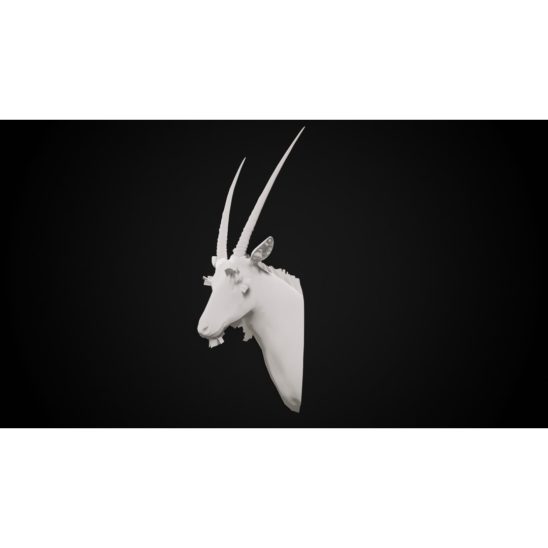 Oryx Gazella Trophy Head 3D Model – Photorealistic Low Poly Game Asset, FBX - View 8