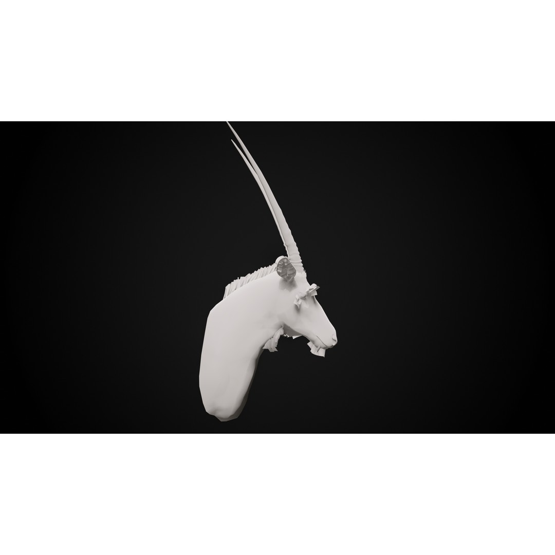 Oryx Gazella Trophy Head 3D Model – Photorealistic Low Poly Game Asset, FBX - View 9