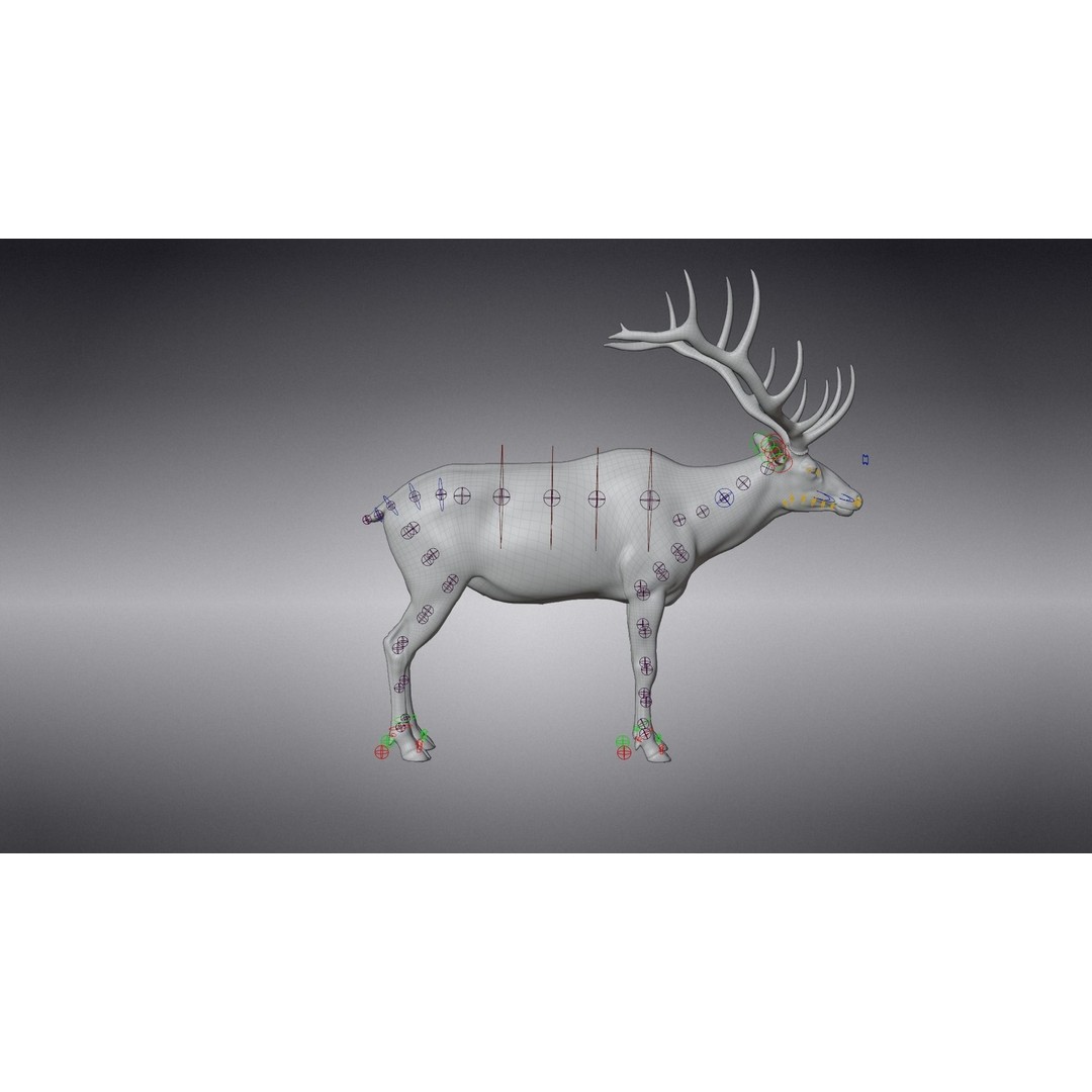 Male Elk 3D Model – Animated Rigged Character with PBR Textures - View 16