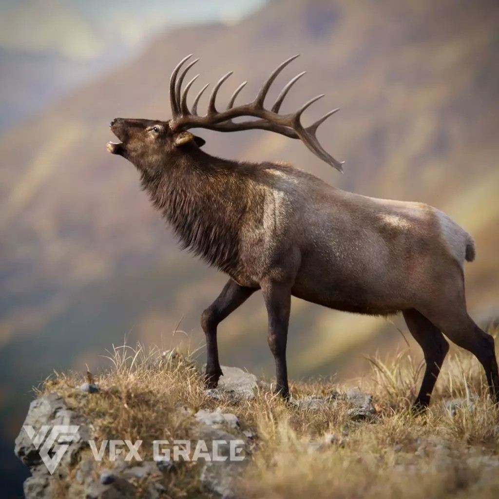 Male Elk 3D Model – Animated Rigged Character with PBR Textures - View 2