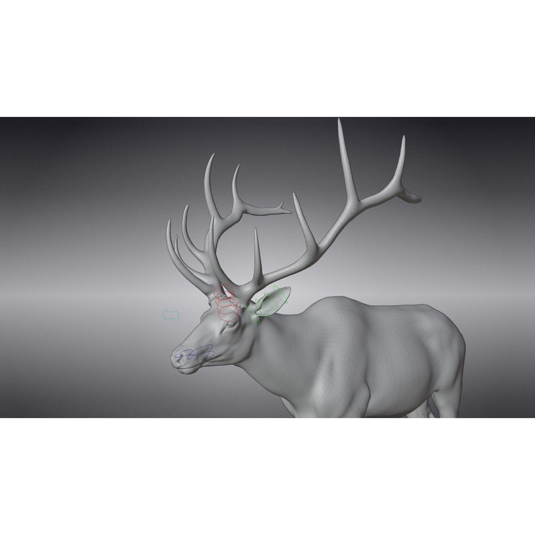 Male Elk 3D Model – Animated Rigged Character with PBR Textures - View 20
