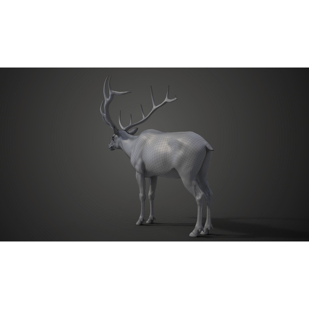Male Elk 3D Model – Animated Rigged Character with PBR Textures - View 23