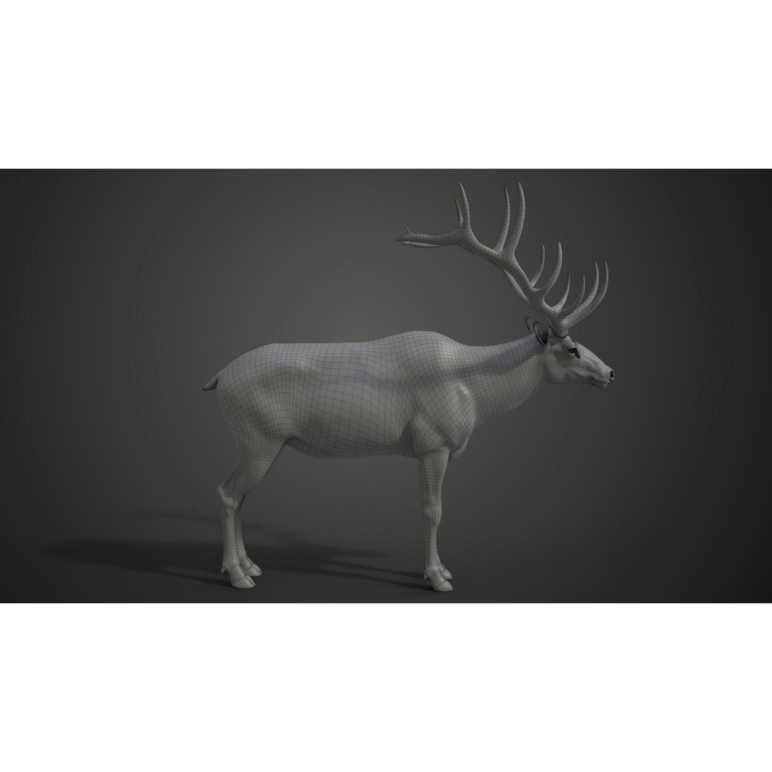 Male Elk 3D Model – Animated Rigged Character with PBR Textures - View 24