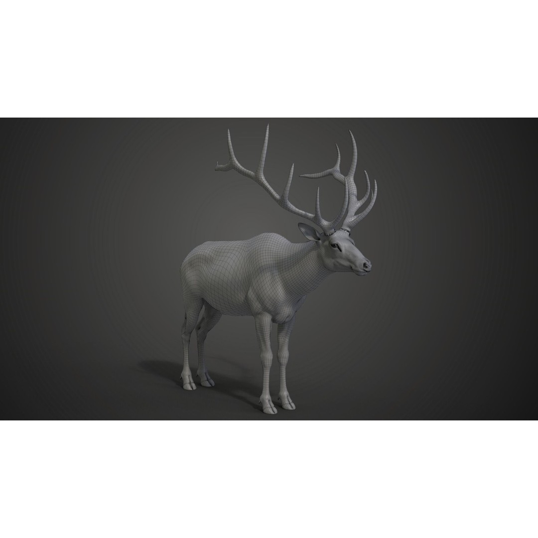 Male Elk 3D Model – Animated Rigged Character with PBR Textures - View 25