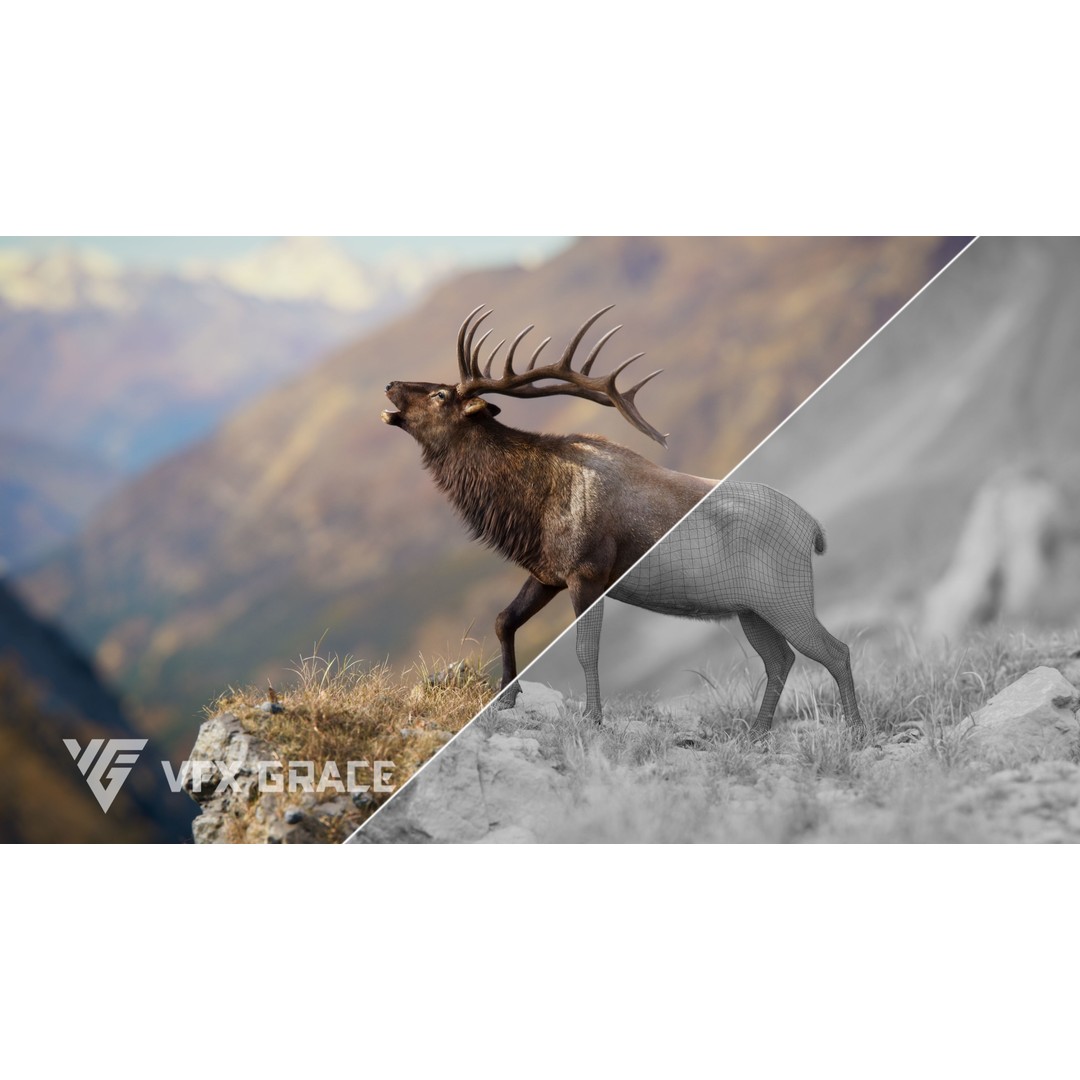 Male Elk 3D Model – Animated Rigged Character with PBR Textures - View 4