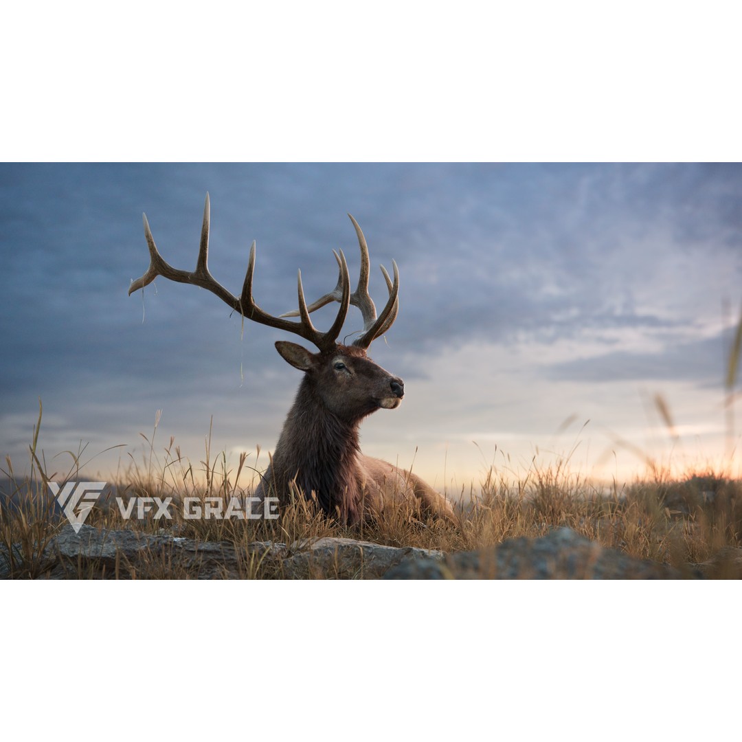 Male Elk 3D Model – Animated Rigged Character with PBR Textures - View 5