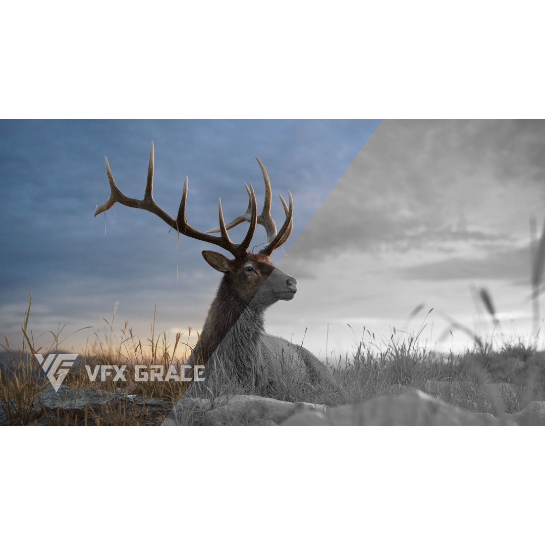 Male Elk 3D Model – Animated Rigged Character with PBR Textures - View 6