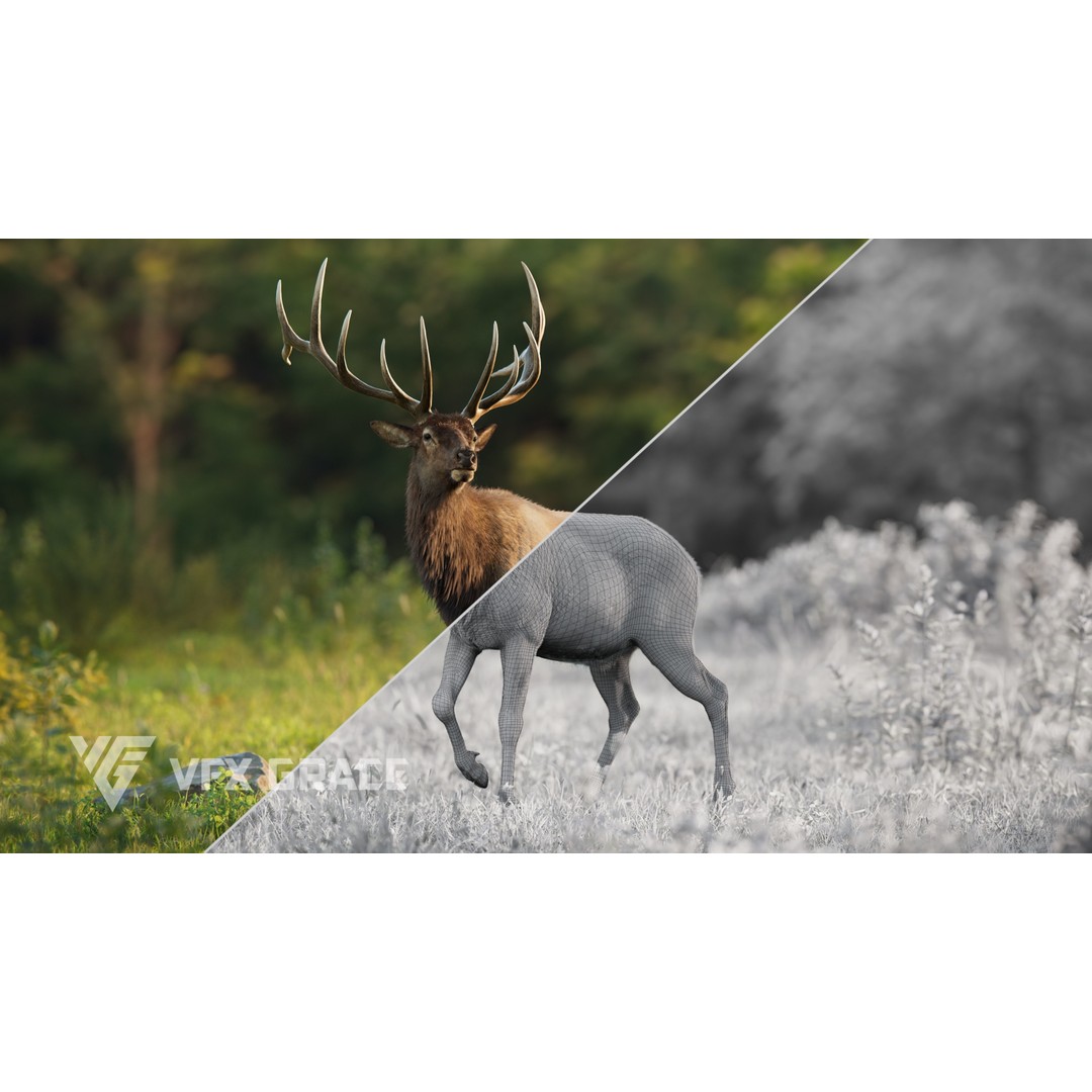 Male Elk 3D Model – Animated Rigged Character with PBR Textures - View 8
