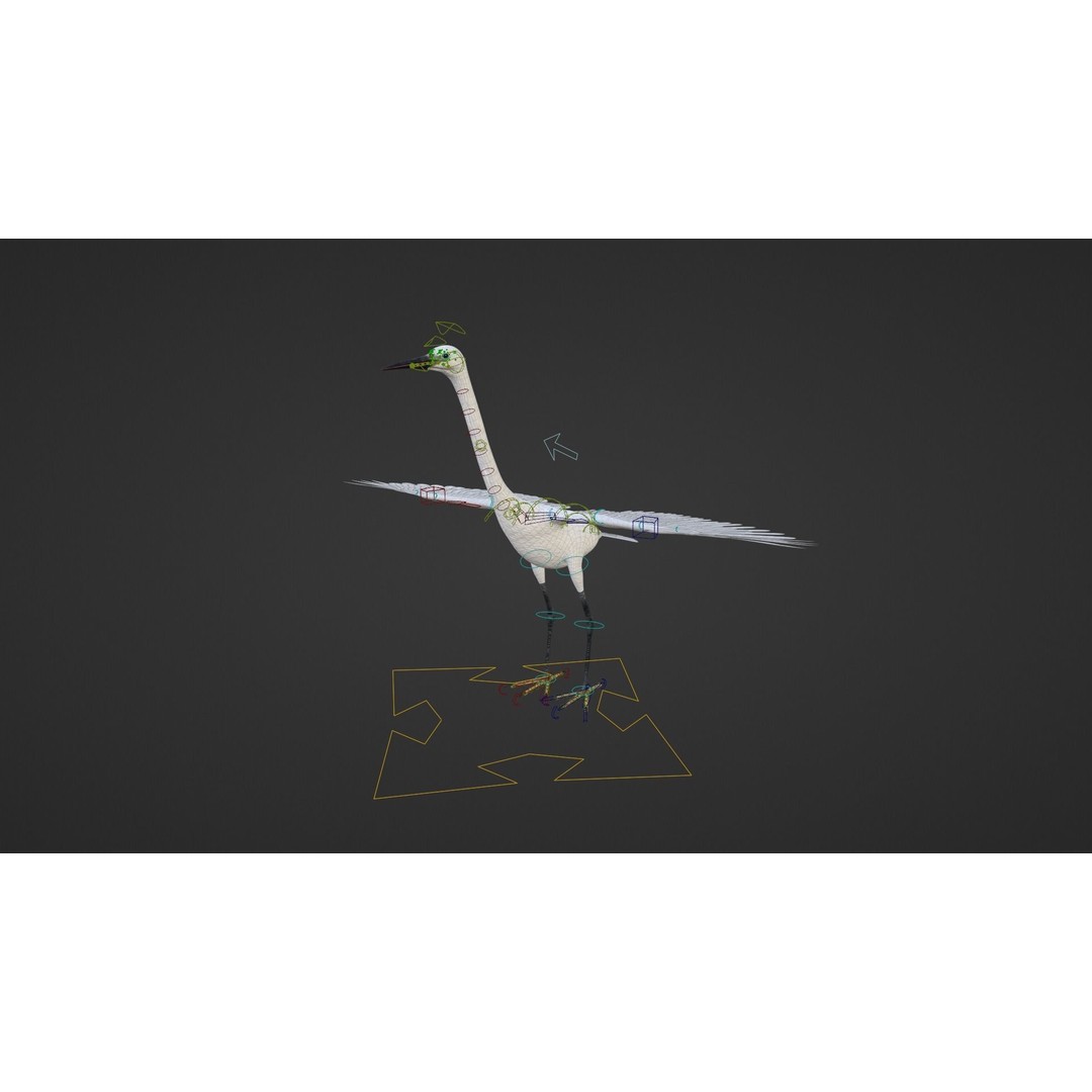 Egret 3D Model – Realistic Animated Bird with Rigging and Textures - View 16