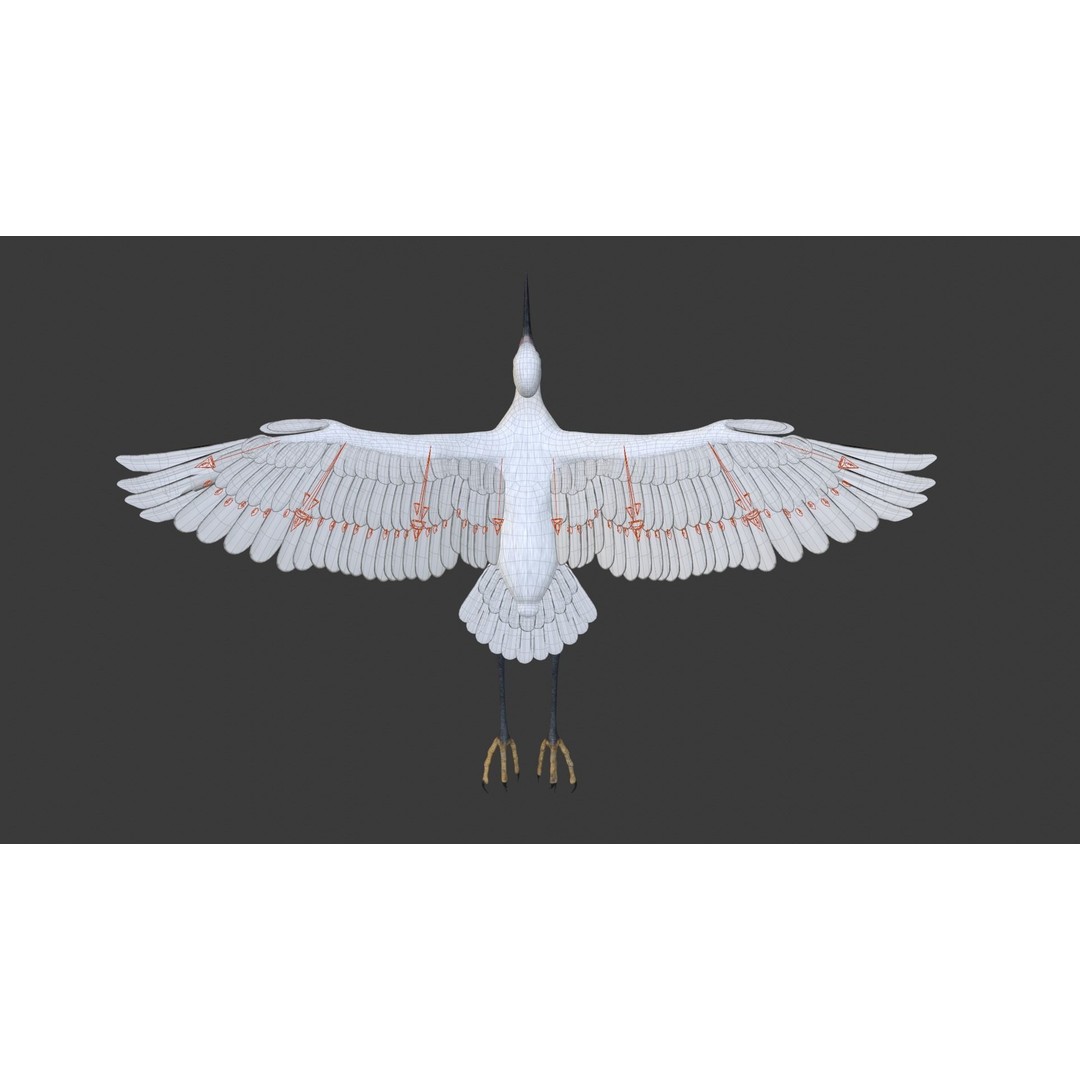 Egret 3D Model – Realistic Animated Bird with Rigging and Textures - View 18