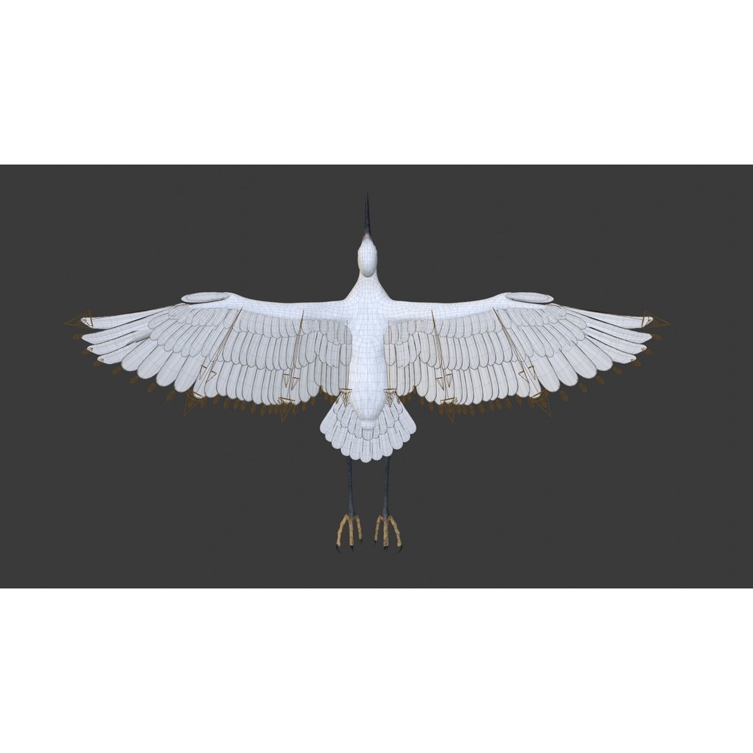 Egret 3D Model – Realistic Animated Bird with Rigging and Textures - View 19
