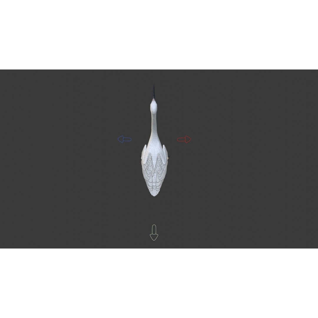 Egret 3D Model – Realistic Animated Bird with Rigging and Textures - View 22