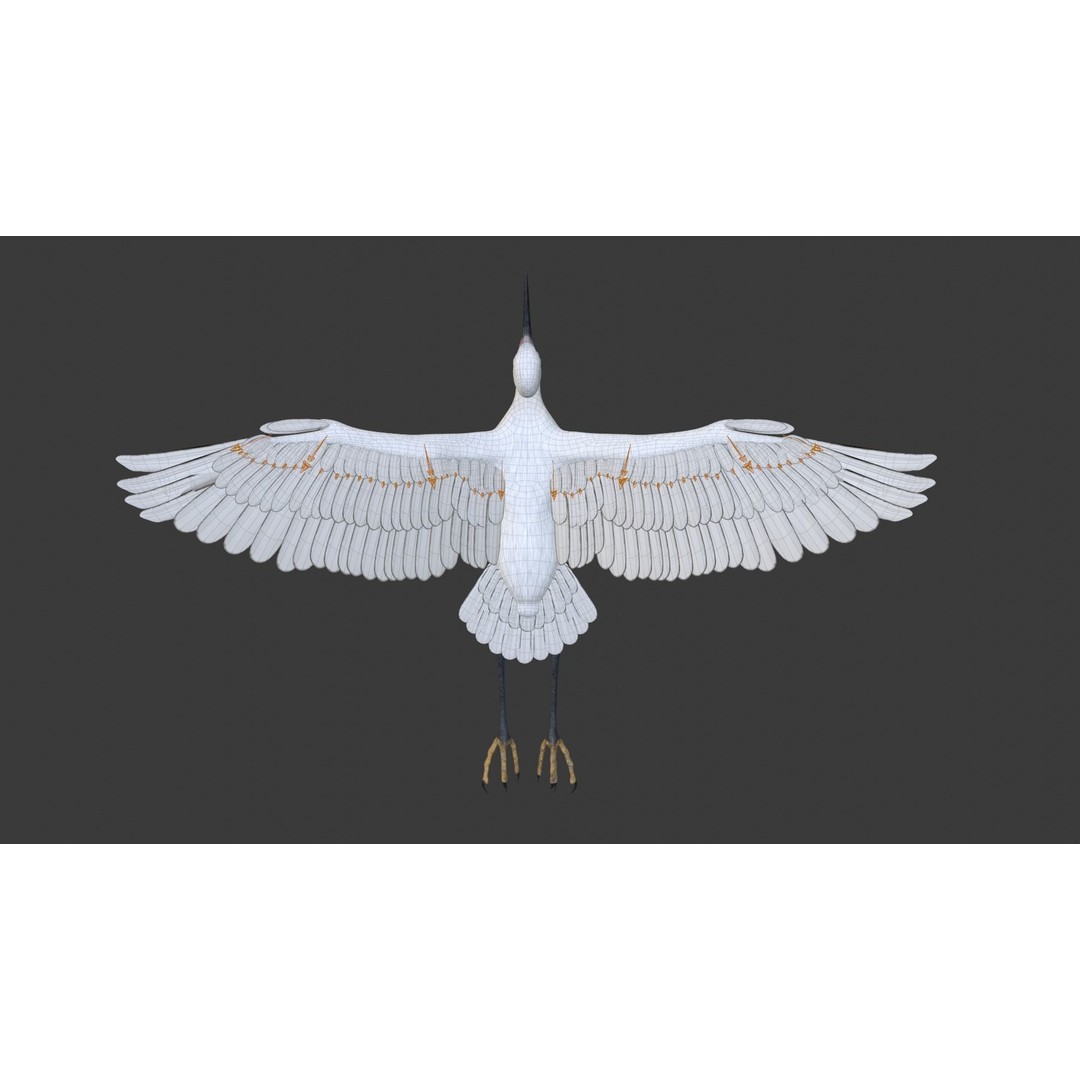 Egret 3D Model – Realistic Animated Bird with Rigging and Textures - View 24