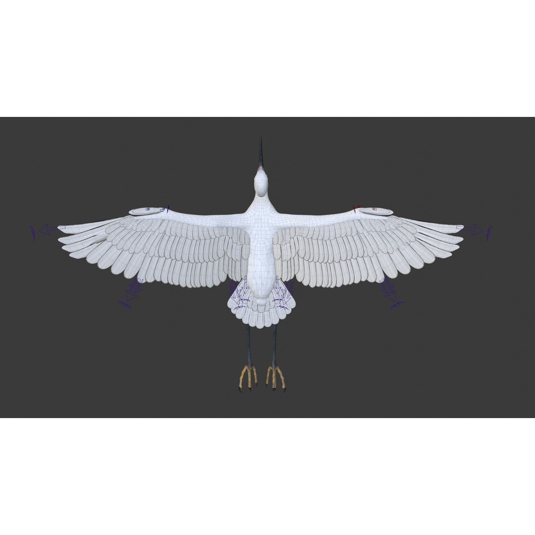 Egret 3D Model – Realistic Animated Bird with Rigging and Textures - View 25