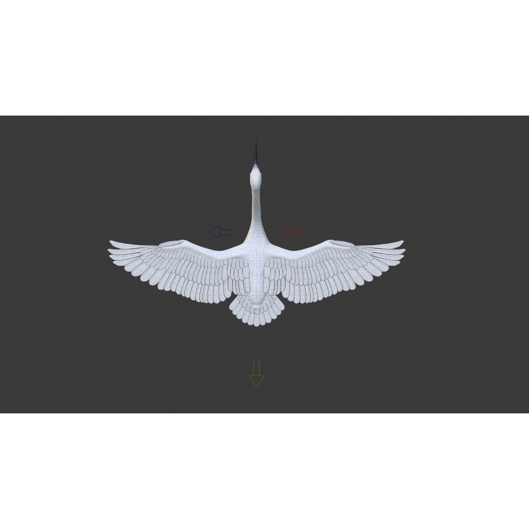 Egret 3D Model – Realistic Animated Bird with Rigging and Textures - View 26
