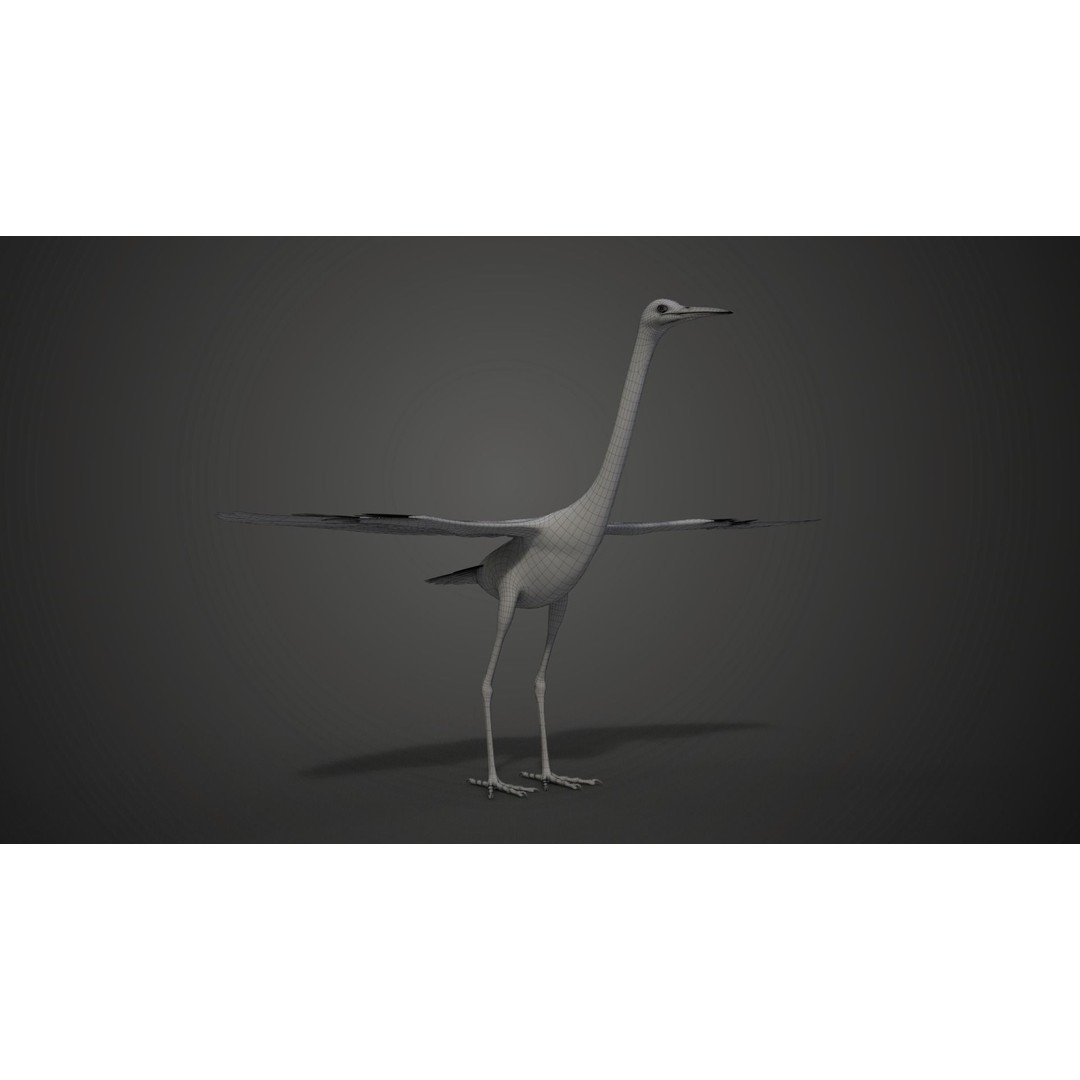 Egret 3D Model – Realistic Animated Bird with Rigging and Textures - View 27