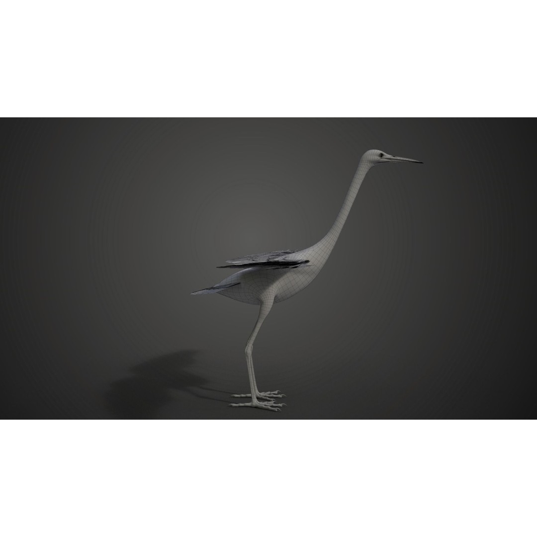 Egret 3D Model – Realistic Animated Bird with Rigging and Textures - View 28